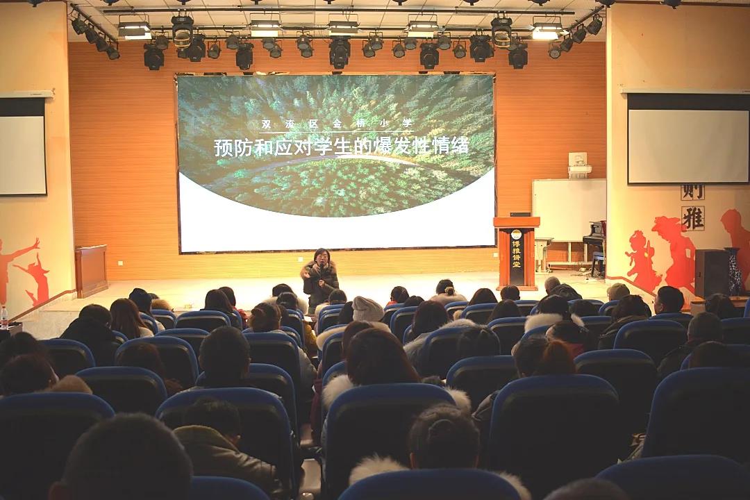 成都双流金桥小学雅之品教师专业发展课程之学生心理健康教育培训