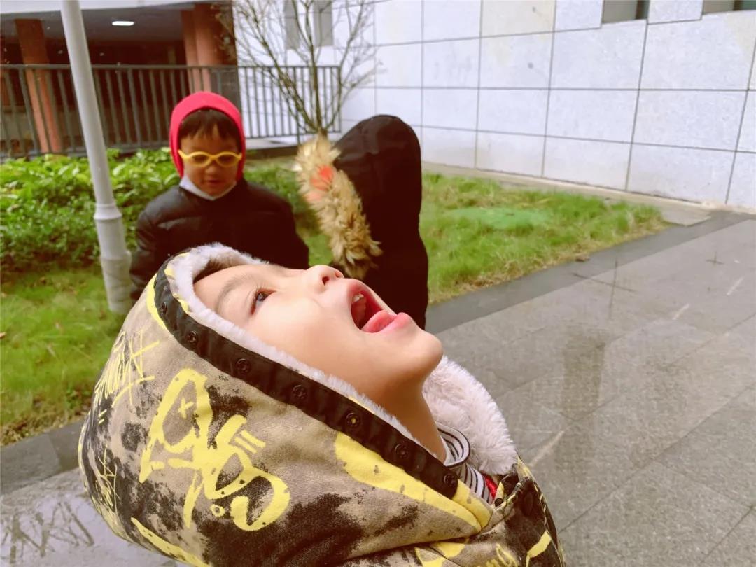 成都天府新区华阳小学：今日份心动！校园与初雪撞个满怀