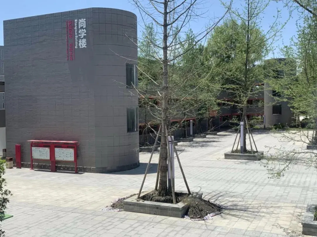 最特殊的一届小升初！开学要体检，还要准备这些资料